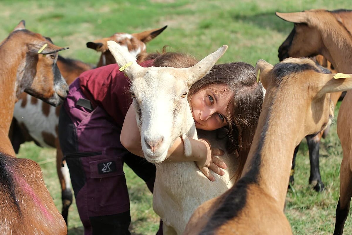 Laura serre une chèvre blanche dans ses bras, au milieu des alpines au pré