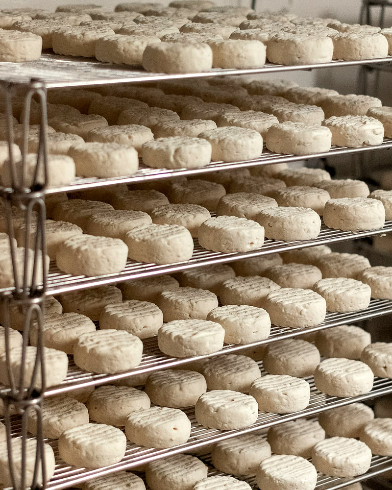 Les claies du séchoir, garnies de fromages de chèvre en cours d'affinage