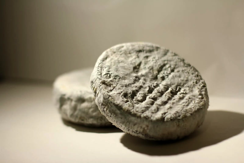 Deux fromages affinés à la croûte grise, posés sur un fond clair